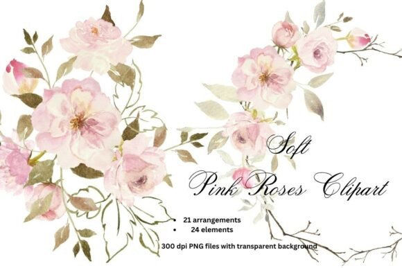 Download Soft Pink Roses Watercolor Clipart PNG - Rose Collection