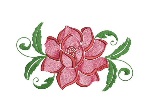 Download Rose - Rose Collection
