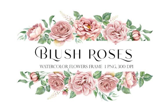 Download Watercolor Flower Rose Pink Frame Png - Rose Collection